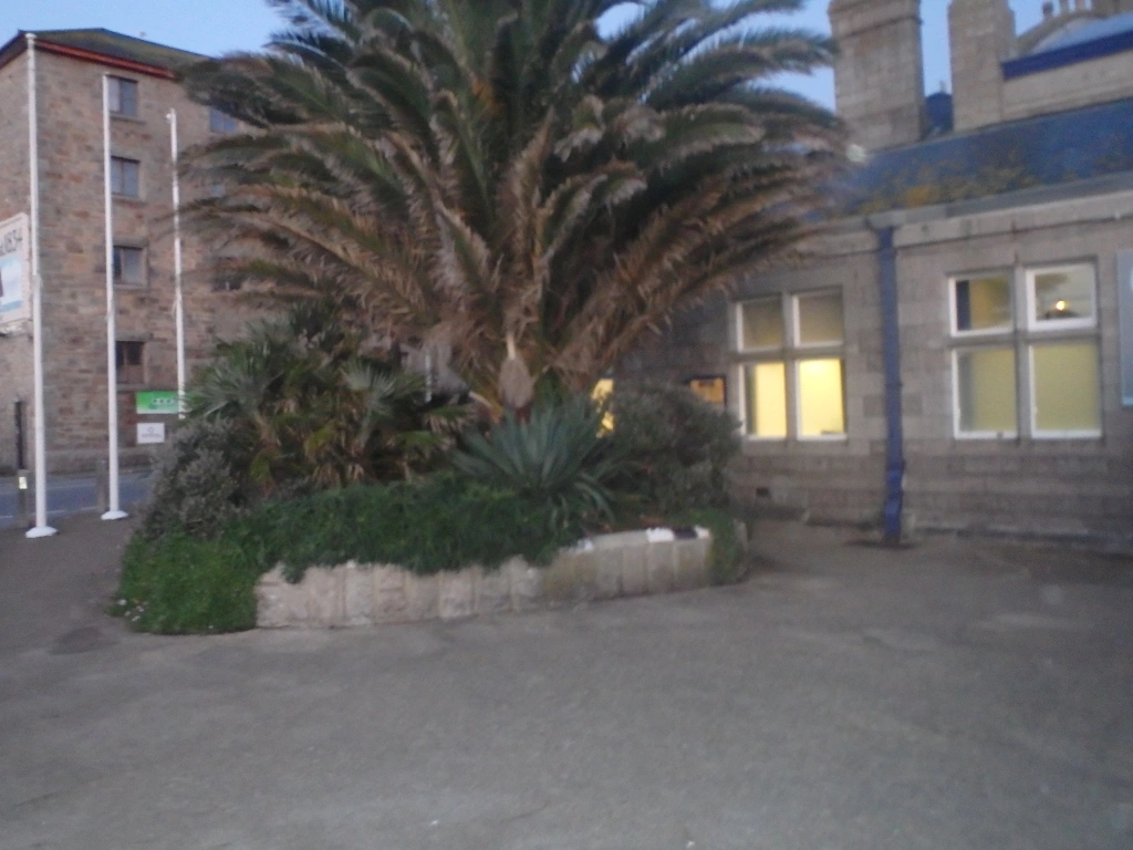 meeting place , planter, train station ,Penzance